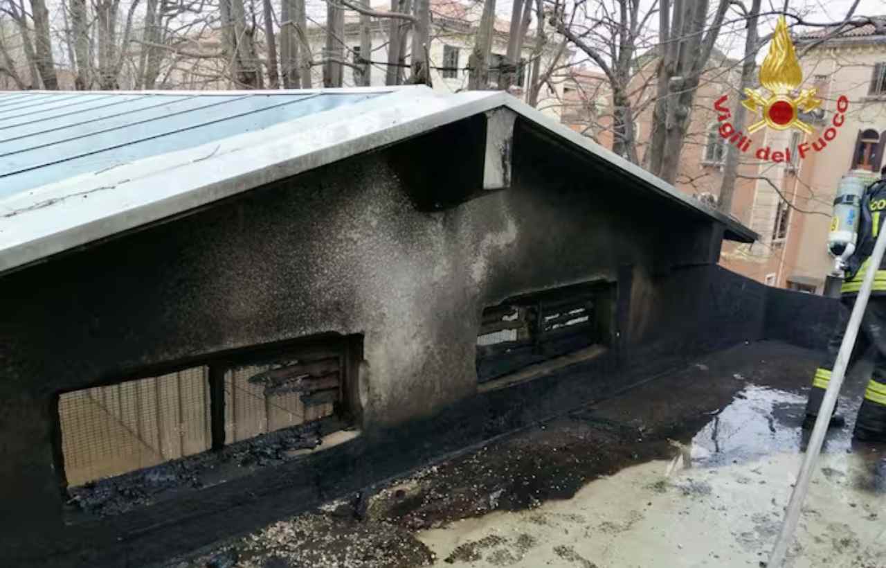 Paura a Venezia | Biennale in fiamme: allarme per il padiglione della Serbia